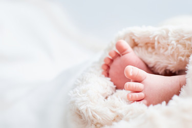 Similar image 22042178