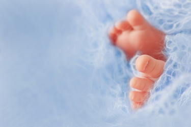 Similar image 22042135