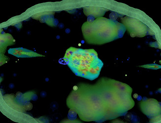 Similar image 22045500