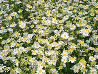 Similar image 22044778