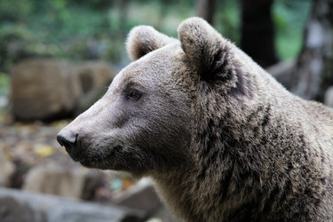 Similar image 22042476