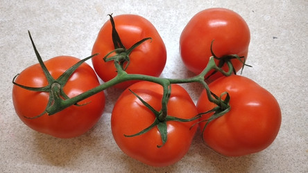 Similar image 22042499