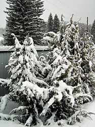 Similar image 22042006