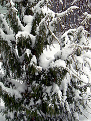 Similar image 22042007