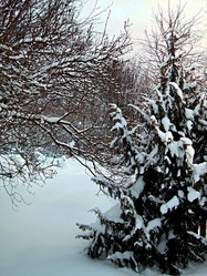 Similar image 22042008