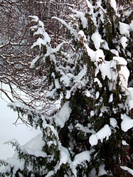 Similar image 22042010