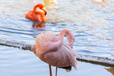 Similar image 22044075