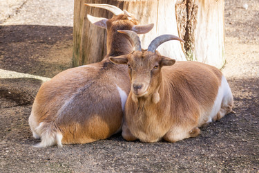 Similar image 22044082