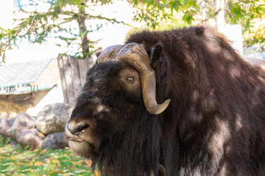 Similar image 22043566