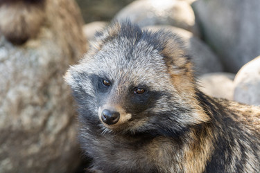 Similar image 22043572