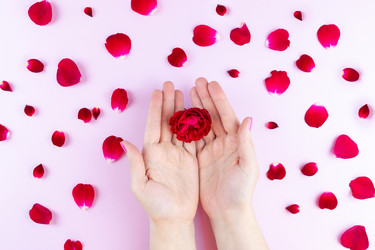 Similar image 22043573