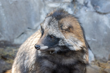 Similar image 22043578