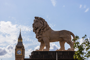 Similar image 22046552