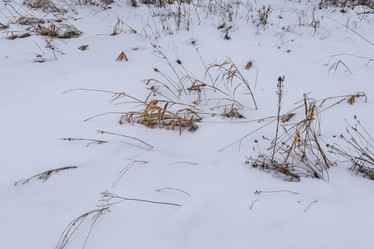 Similar image 22042044