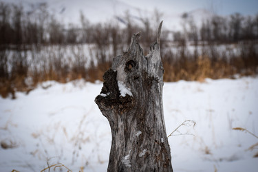 Similar image 22042045