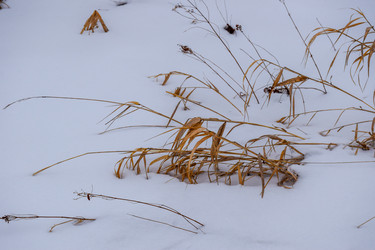 Similar image 22042046