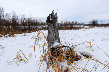 Similar image 22042048