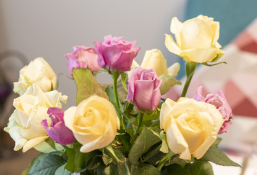 Similar image 22042569