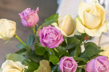 Similar image 22042570