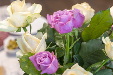 Similar image 22042571