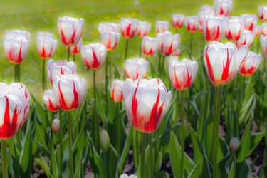 Similar image 22044780