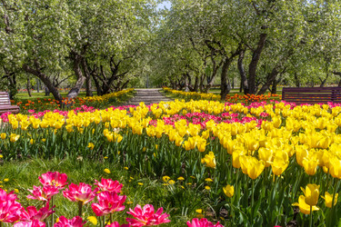 Similar image 22044782