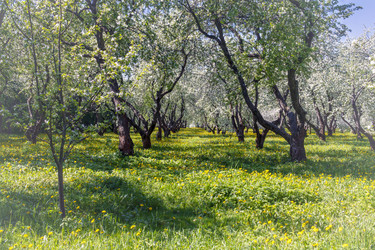 Similar image 22044783