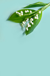 Similar image 22044784