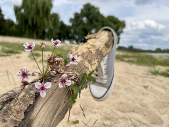 Similar image 22042538