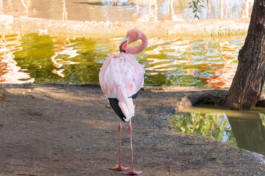 Similar image 22043587