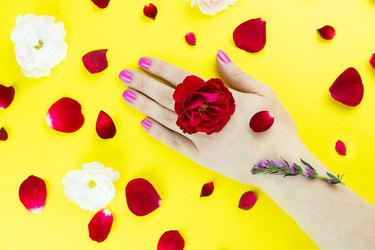 Similar image 22043597