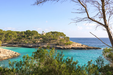 Similar image 22042575