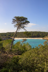 Similar image 22042579