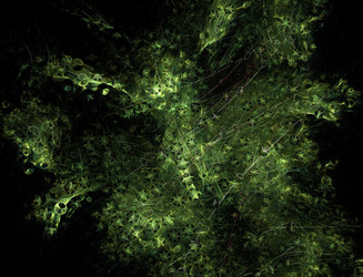 Similar image 22045575