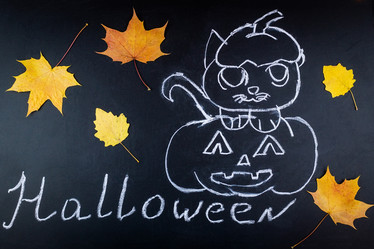 Similar image 22043949