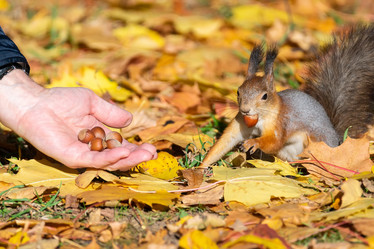 Similar image 22043957