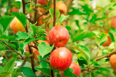 Similar image 22043974