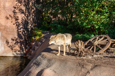 Similar image 22043975