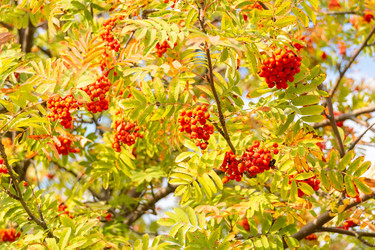 Similar image 22043976