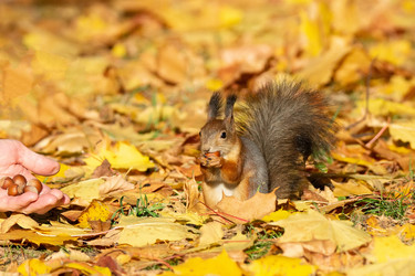 Similar image 22043978