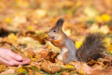 Similar image 22043983