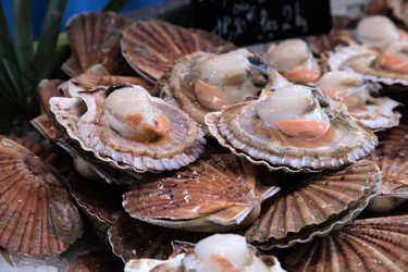 Similar image 22045967