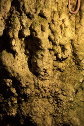 Similar image 22045998