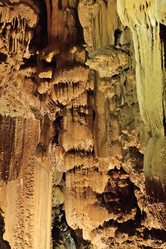 Similar image 22046006