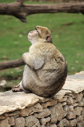 Similar image 22046011