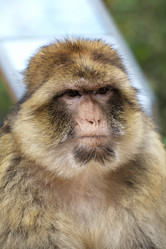 Similar image 22046012