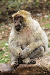 Similar image 22046013