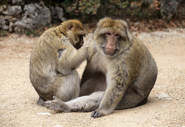 Similar image 22046014