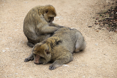 Similar image 22046016