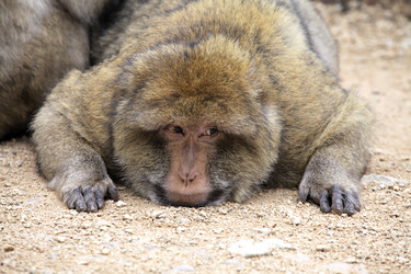 Similar image 22046018